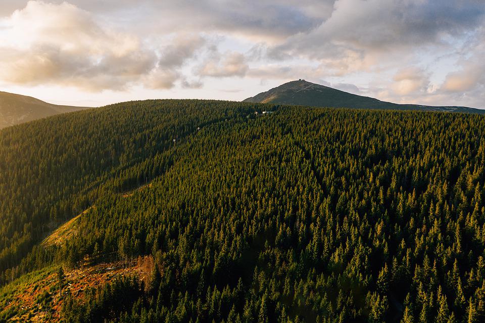 aerial-4540834_960_720